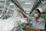 Thu ngân sách 10 tháng chỉ đạt 70%